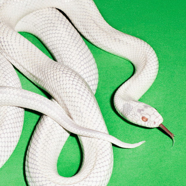 private music by Deftones